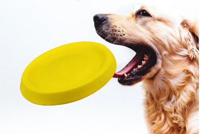 Pet Dogs Throwing Plastic Toys - Liora Paws