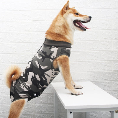 Fashion Personality Multi - color Pet Clothes - Liora Paws