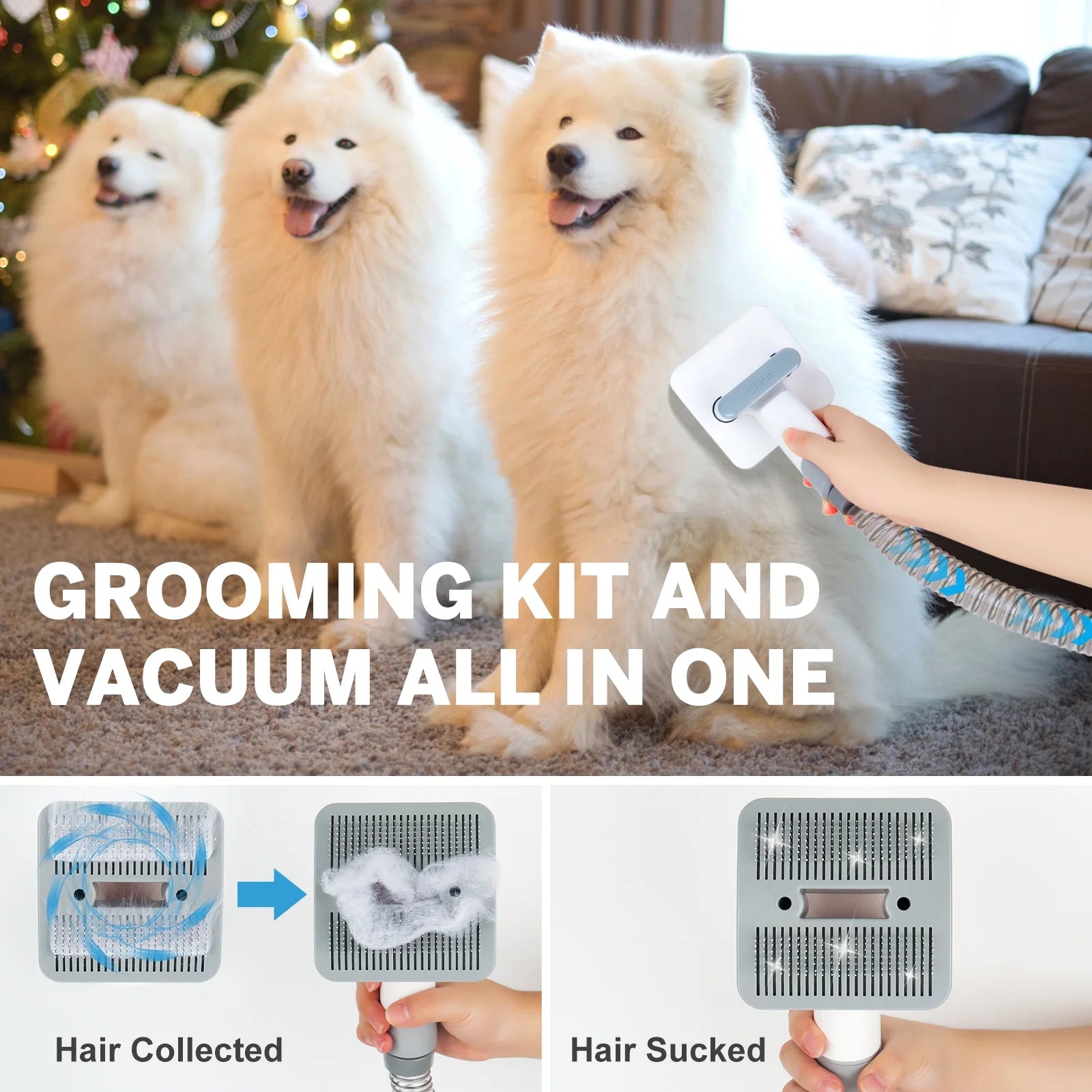 2L Dog Grooming Kit Pet Grooming Vacuum Dog Clippers 13000Pa Dog Brush 4 in 1 Low Noise Pet Supplies for Shedding Dog Cat Hair Removal Tool Home Cleaning - Liora Paws