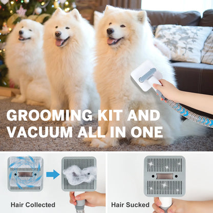 2L Dog Grooming Kit Pet Grooming Vacuum Dog Clippers 13000Pa Dog Brush 4 in 1 Low Noise Pet Supplies for Shedding Dog Cat Hair Removal Tool Home Cleaning - Liora Paws