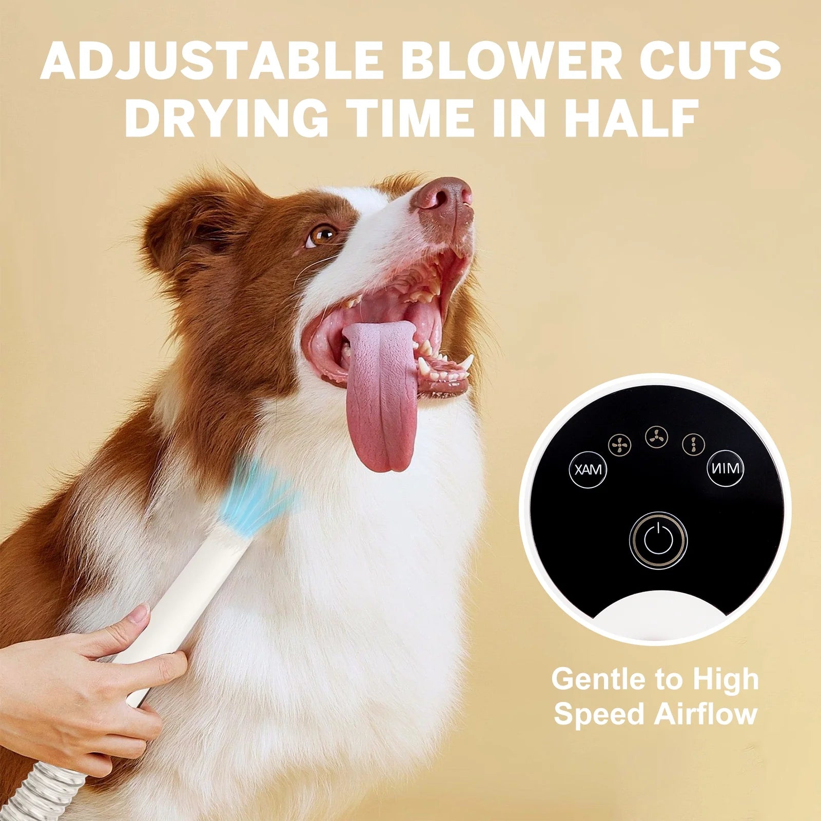 2L Dog Grooming Kit Pet Grooming Vacuum Dog Clippers 13000Pa Dog Brush 4 in 1 Low Noise Pet Supplies for Shedding Dog Cat Hair Removal Tool Home Cleaning - Liora Paws