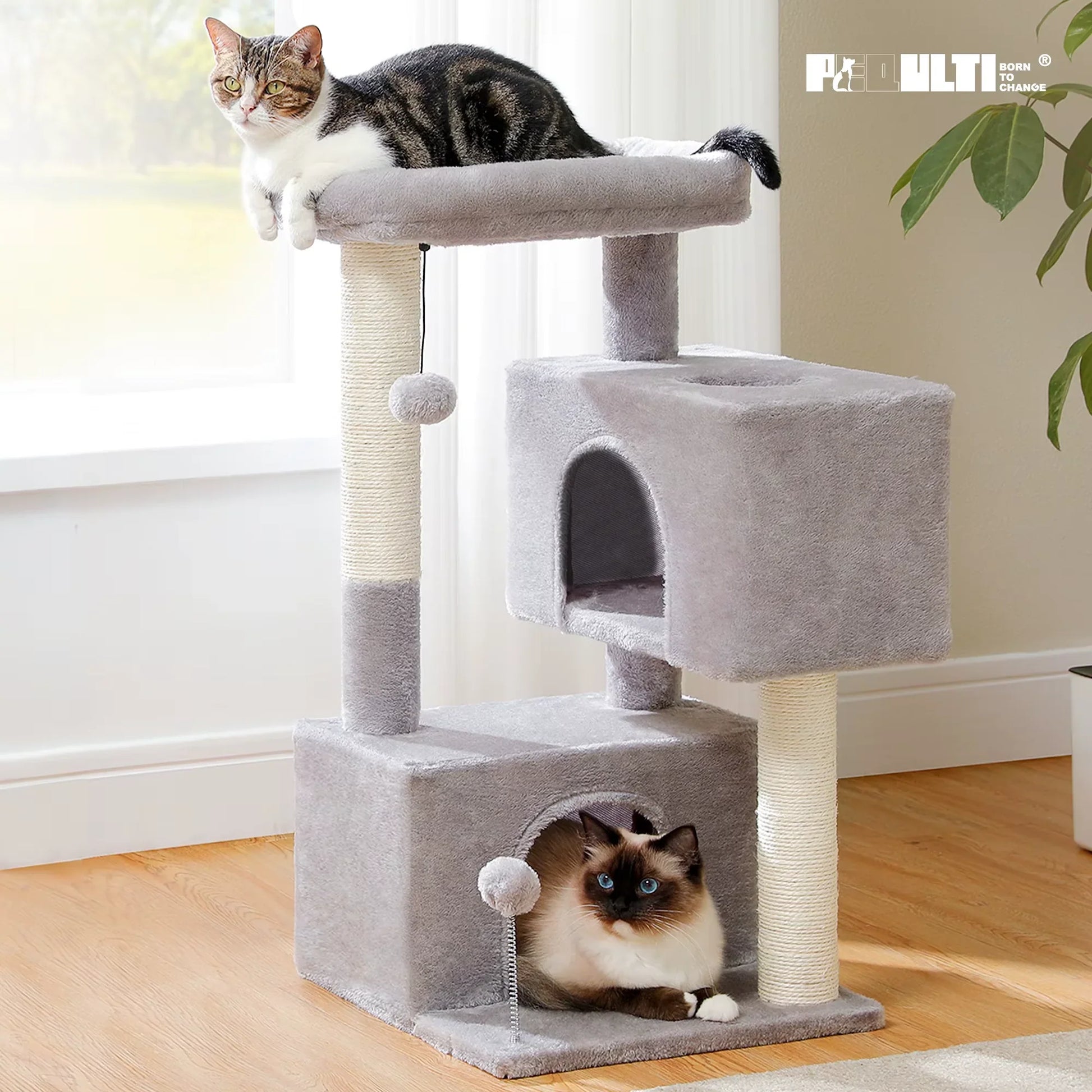 Cat Tree for Large Cats Cat Tower for Indoor - Liora Paws