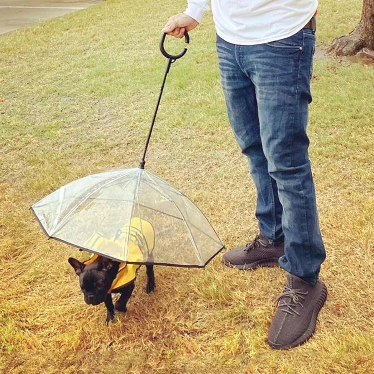 Dog Umbrella - Liora Paws
