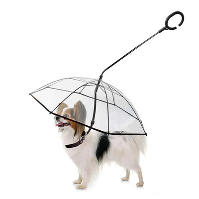Dog Umbrella - Liora Paws